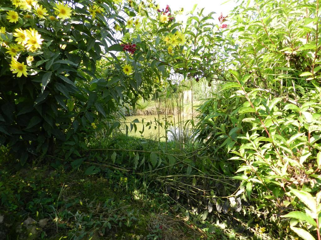 Gite La Grenouillere Esqueheries Exteriér fotografie