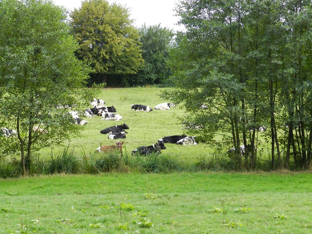 Gite La Grenouillere Esqueheries Exteriér fotografie