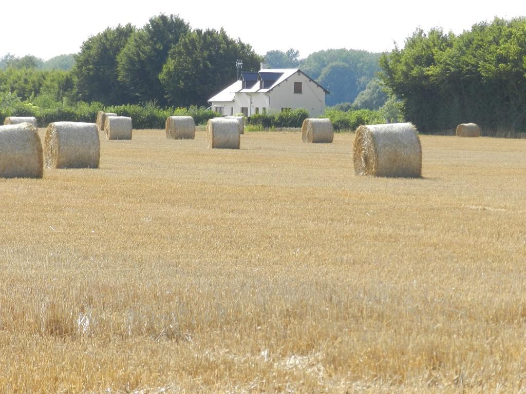 Gite La Grenouillere Esqueheries Exteriér fotografie